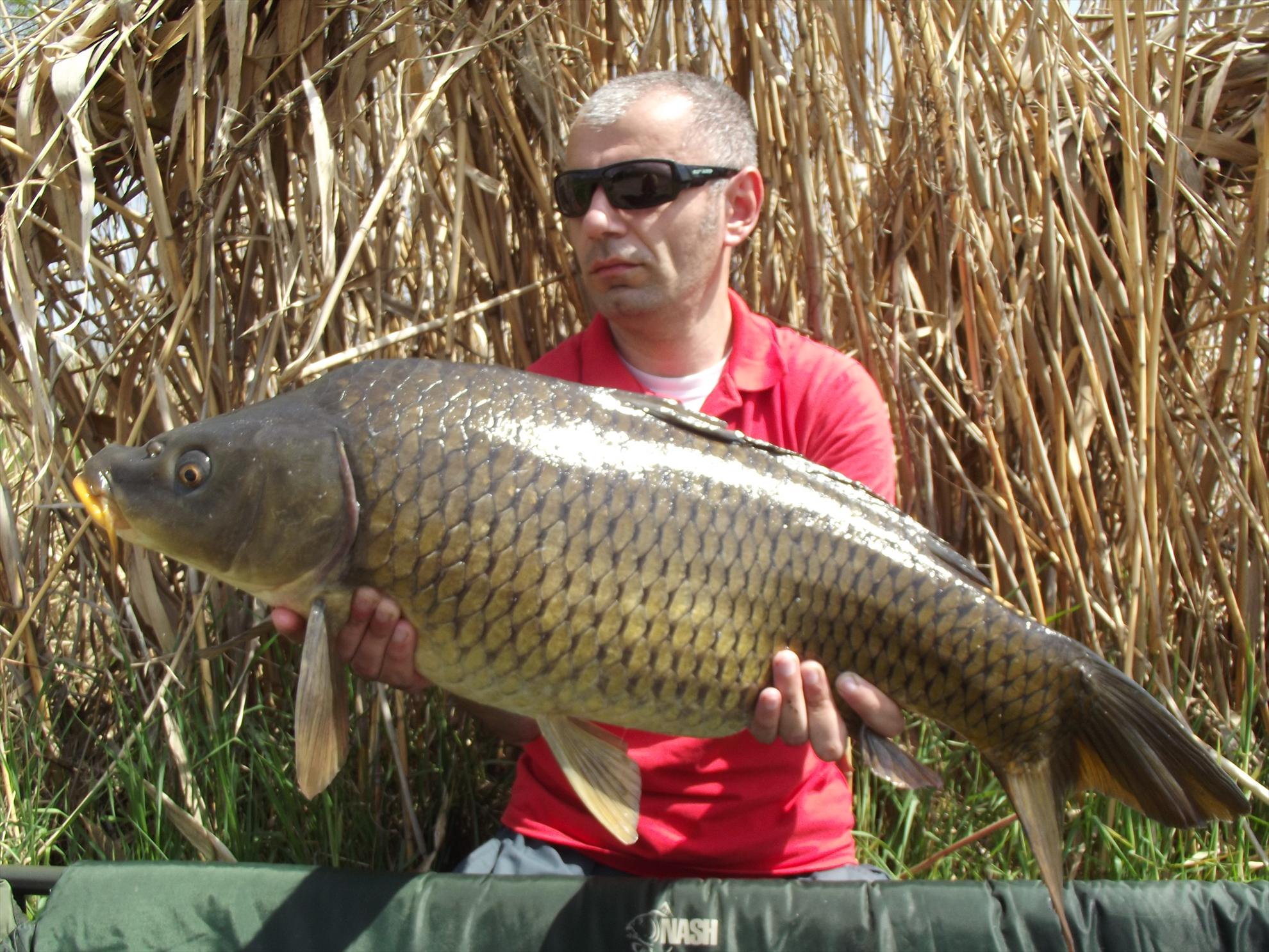 Tancabesti 19 - 21 apr. - dscf3590.JPG